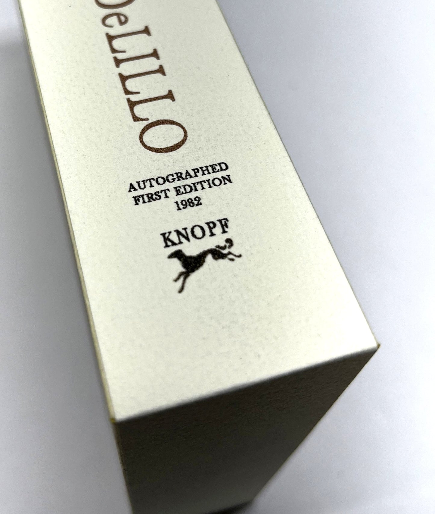 Signed - Don DeLillo - The Names - Slipcased First Edition