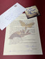 Autographed Typescript - Thomas Harris - THE SILENCE OF THE LAMBS