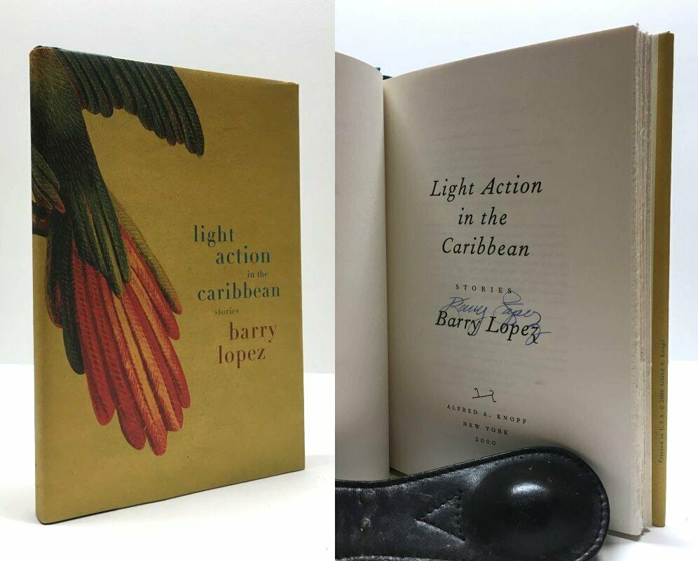 Light Action in the Caribbean: Stories