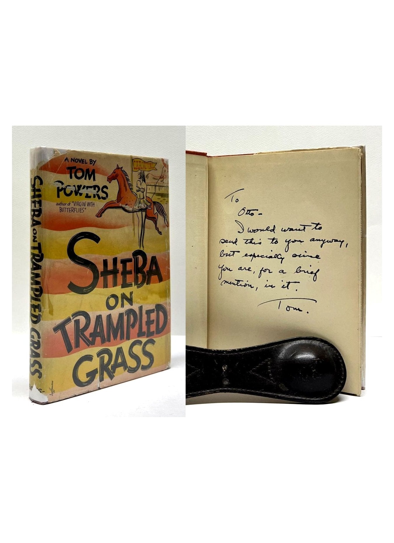 Sheba On Trampled Grass