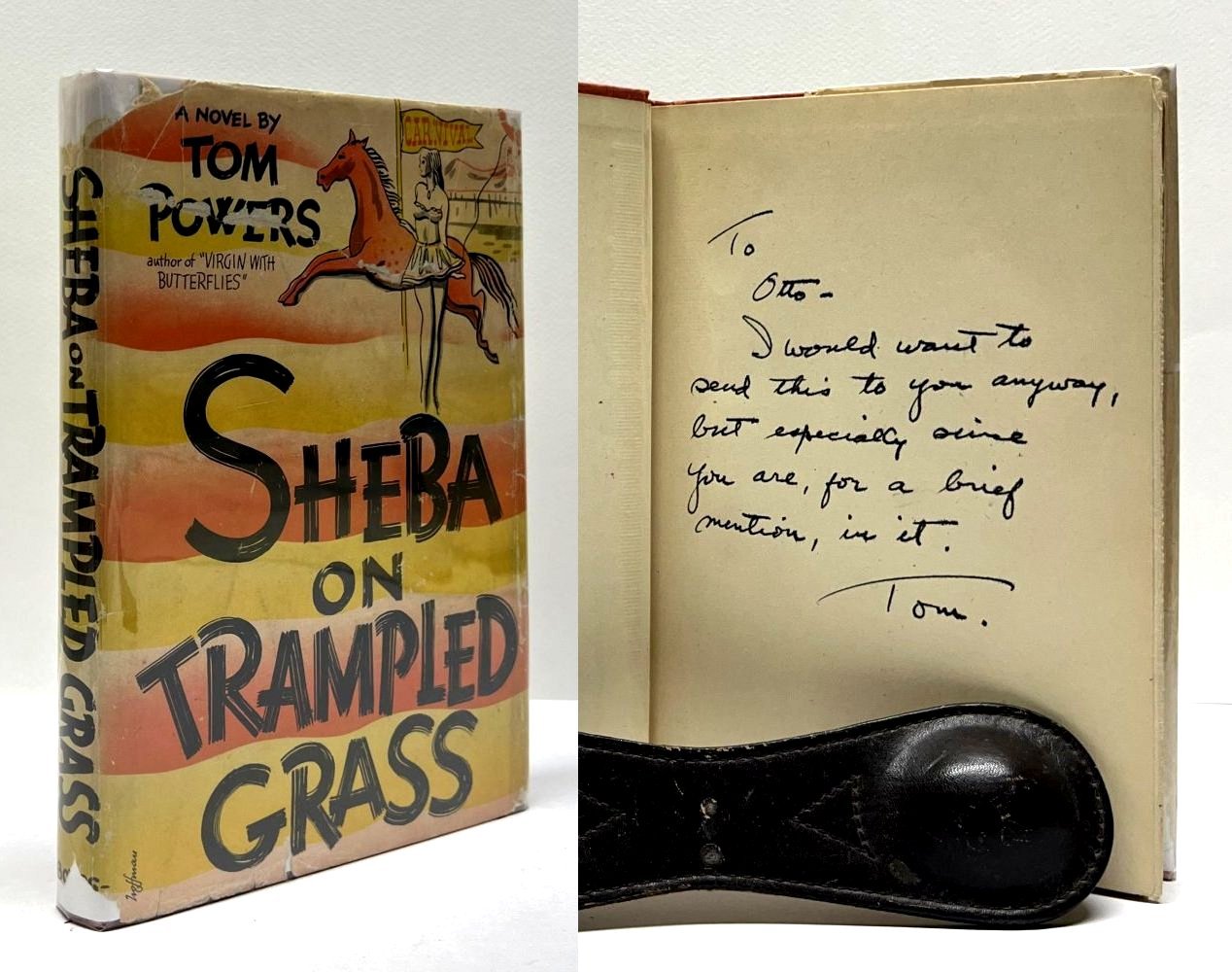 Sheba On Trampled Grass