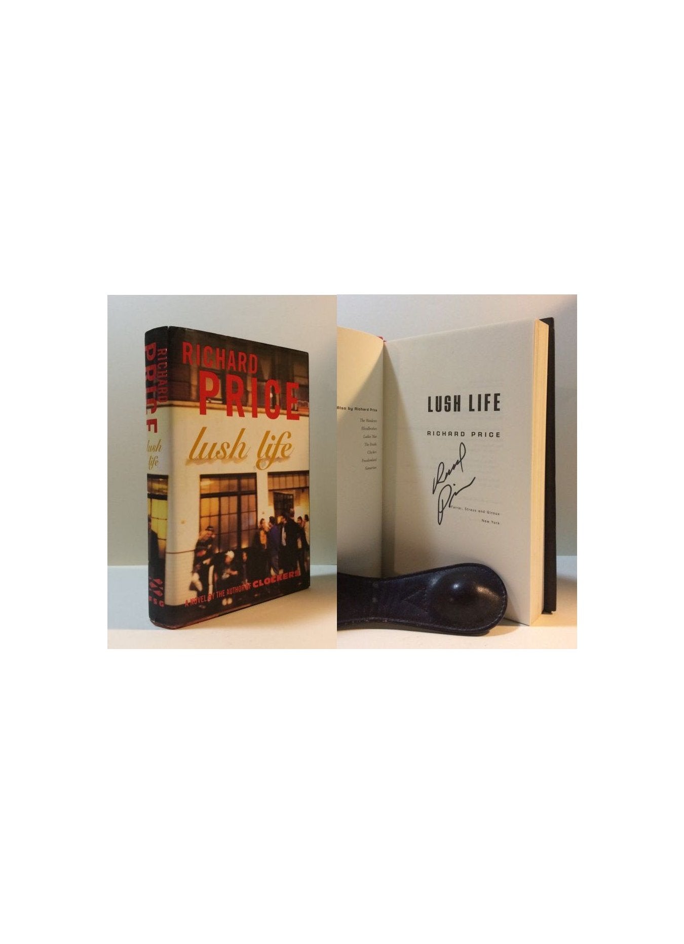 Lush Life: A Novel