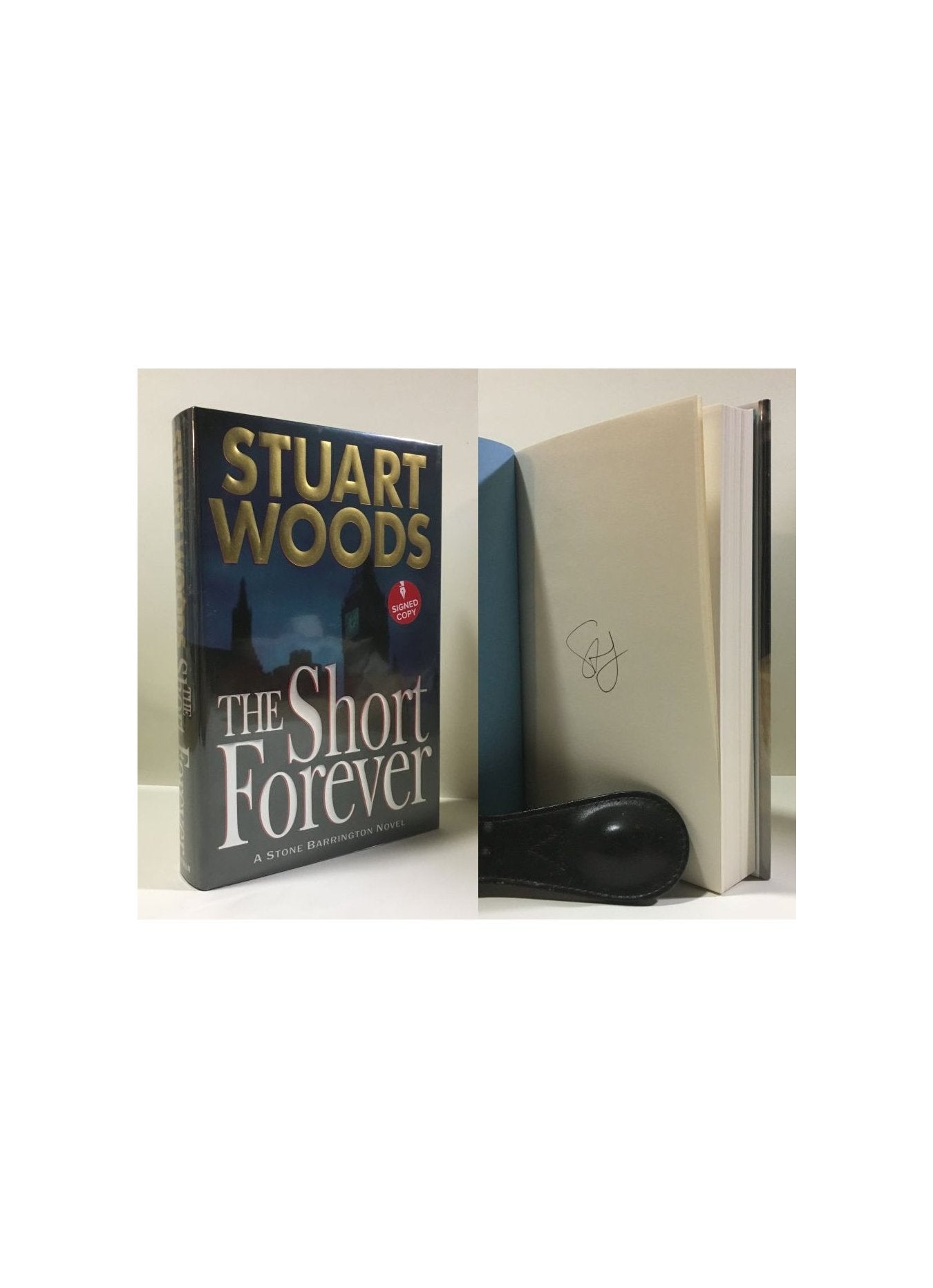 The Short Forever (Stone Barrington)