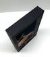 CUSTOM SLIPCASE for - Joan Samson - THE AUCTIONEER - Centipede Press Edition